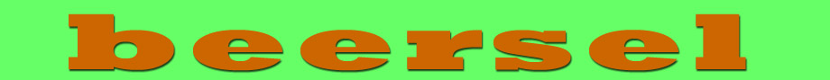 logo beersel